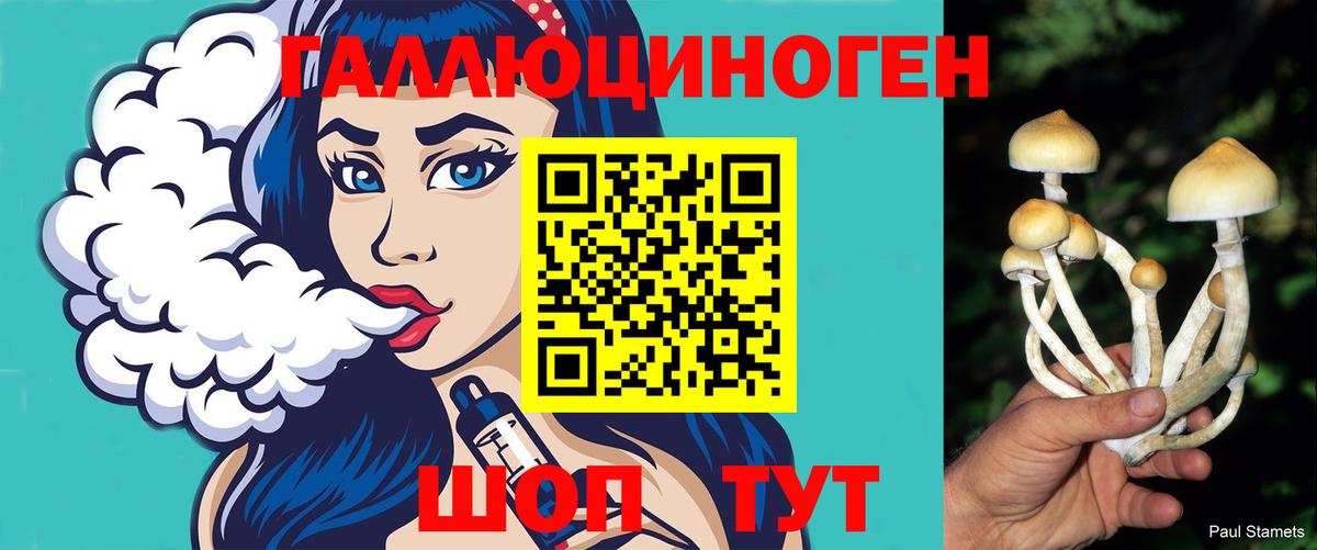 Городец  Псилоцибиновые грибы MAGIC MUSHROOMS  Галлюциногенные грибы Psilocybine cubensis  Вход с VPN 